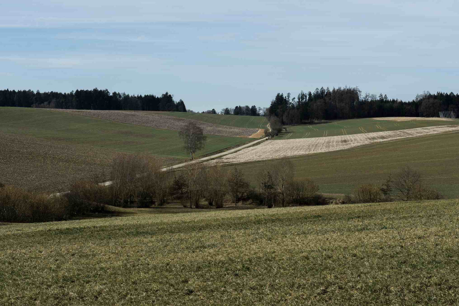 Aussicht über eine herbstliche Landschaft